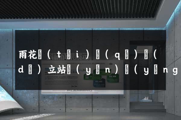 雨花臺(tái)區(qū)獨(dú)立站運(yùn)營(yíng)