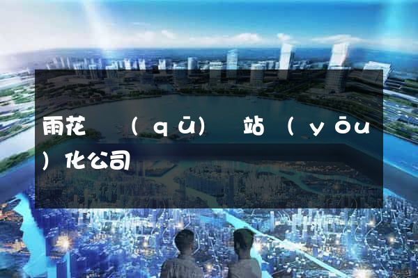 雨花臺區(qū)網站優(yōu)化公司