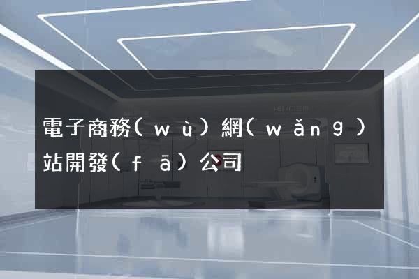 電子商務(wù)網(wǎng)站開發(fā)公司