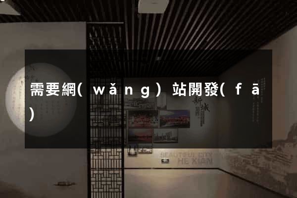 需要網(wǎng)站開發(fā)