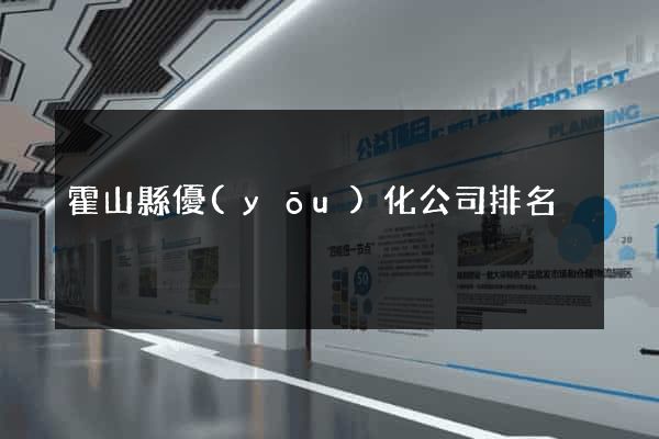 霍山縣優(yōu)化公司排名