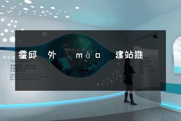 霍邱縣外貿(mào)建站推廣