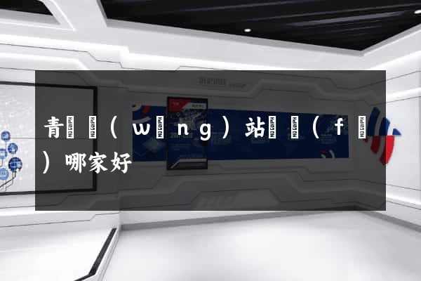 青島網(wǎng)站開發(fā)哪家好