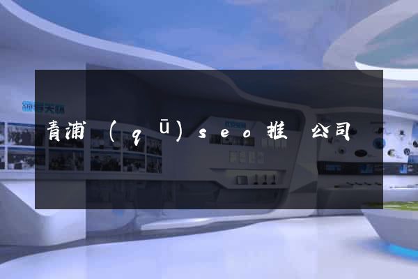 青浦區(qū)seo推廣公司
