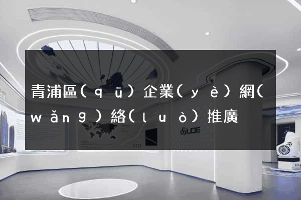 青浦區(qū)企業(yè)網(wǎng)絡(luò)推廣