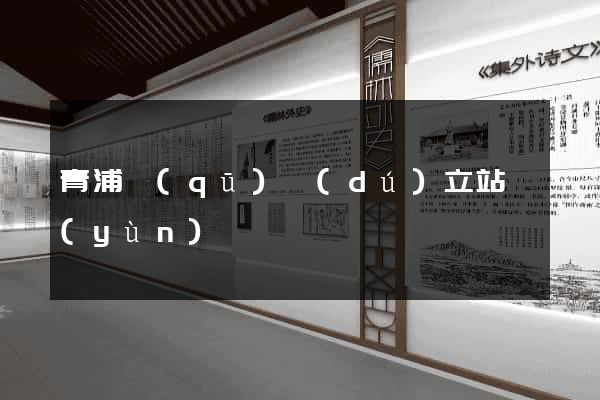 青浦區(qū)獨(dú)立站運(yùn)營