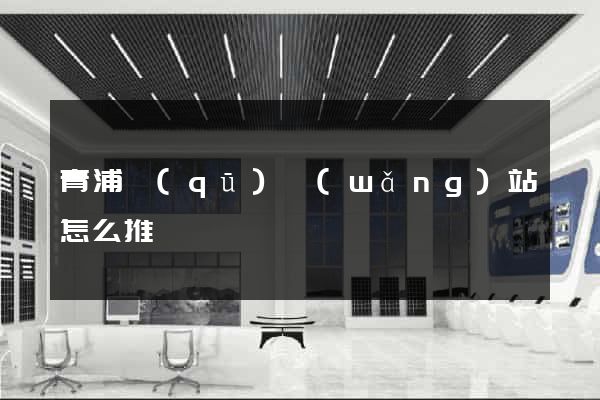 青浦區(qū)網(wǎng)站怎么推廣