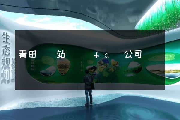 青田縣網站開發(fā)公司