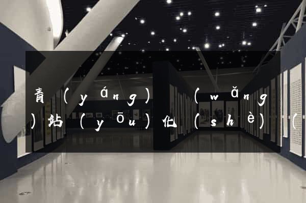 青陽(yáng)縣網(wǎng)站優(yōu)化設(shè)計(jì)公司