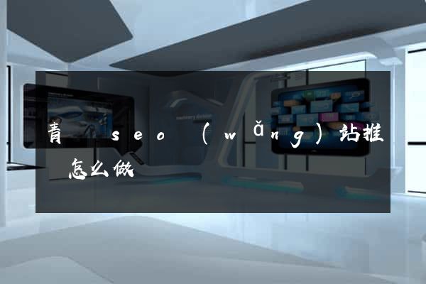 青陽縣seo網(wǎng)站推廣怎么做