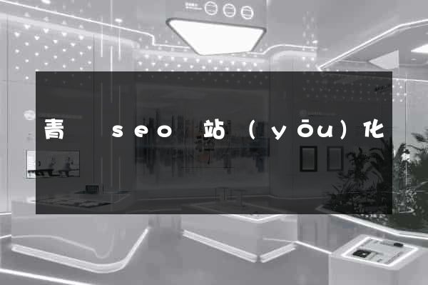 青陽縣seo網站優(yōu)化