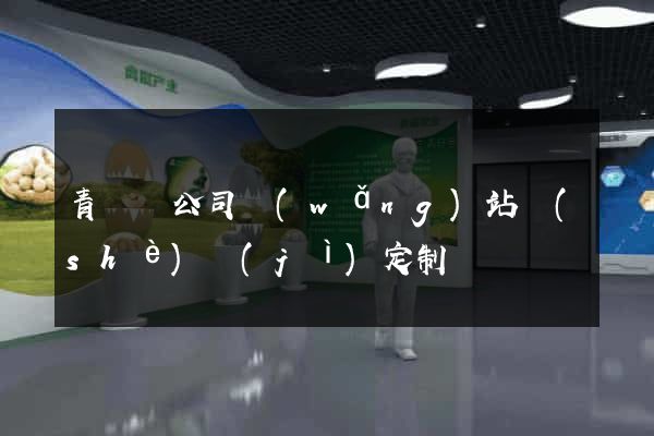 青陽縣公司網(wǎng)站設(shè)計(jì)定制