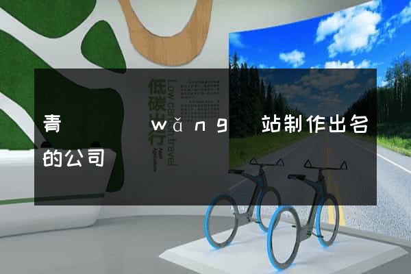 青陽縣網(wǎng)站制作出名的公司