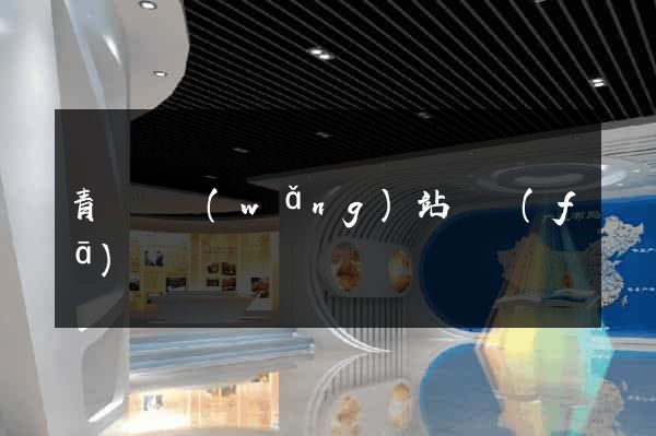 青陽縣網(wǎng)站開發(fā)