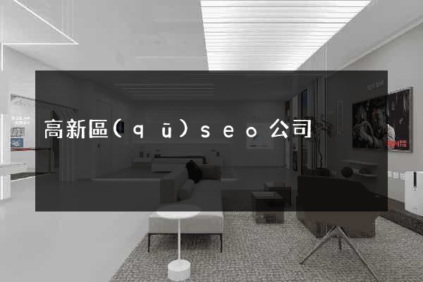 高新區(qū)seo公司
