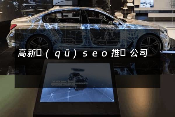 高新區(qū)seo推廣公司
