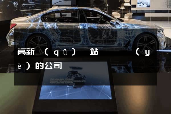 高新區(qū)網站設計專業(yè)的公司