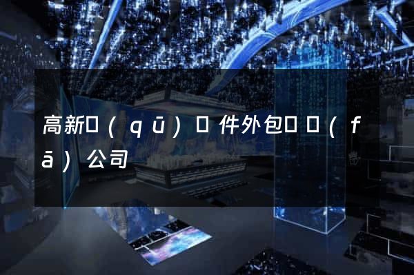 高新區(qū)軟件外包開發(fā)公司