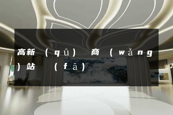 高新區(qū)電商網(wǎng)站開發(fā)