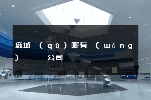 鹿城區(qū)哪有網(wǎng)頁設計公司