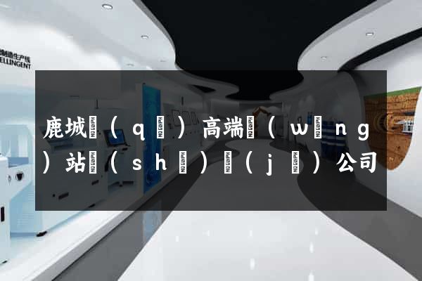 鹿城區(qū)高端網(wǎng)站設(shè)計(jì)公司