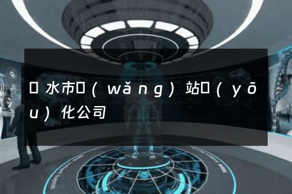 麗水市網(wǎng)站優(yōu)化公司