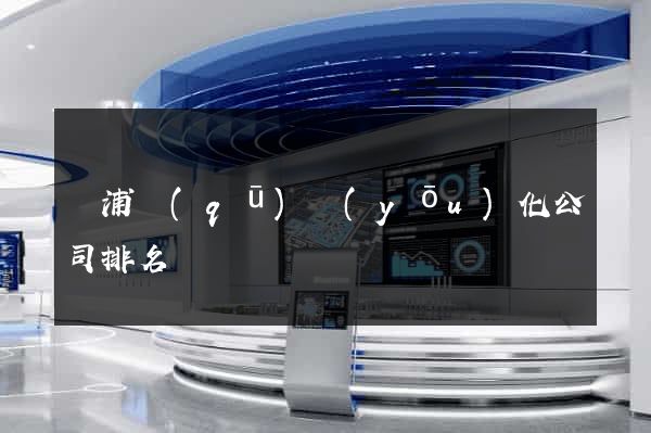 黃浦區(qū)優(yōu)化公司排名