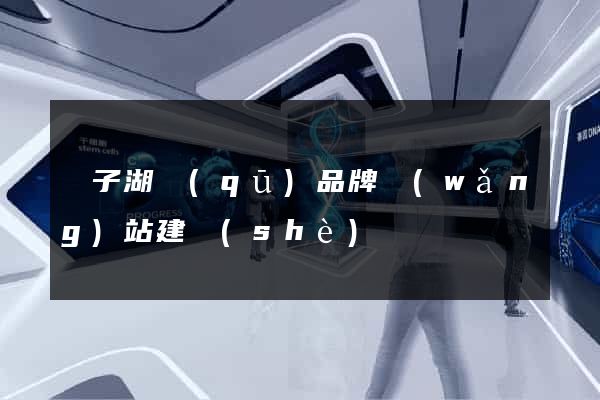 龍子湖區(qū)品牌網(wǎng)站建設(shè)