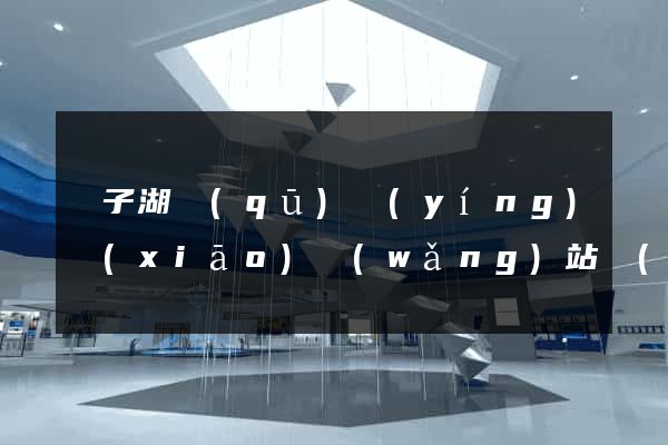 龍子湖區(qū)營(yíng)銷(xiāo)網(wǎng)站設(shè)計(jì)