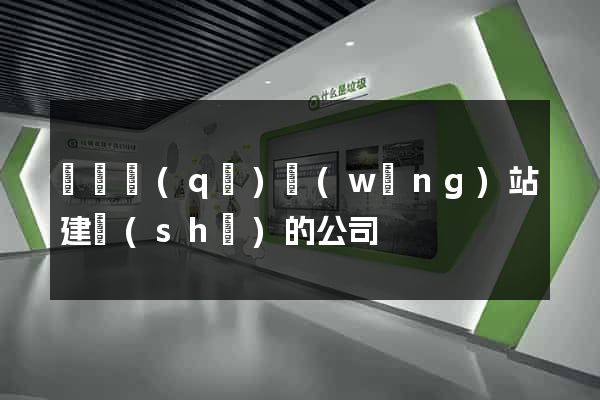 龍灣區(qū)網(wǎng)站建設(shè)的公司