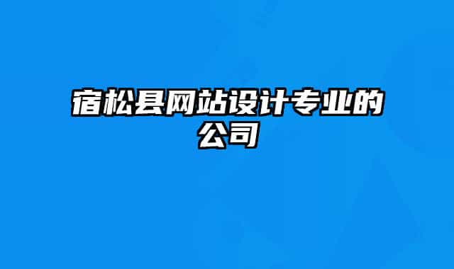 宿松縣網(wǎng)站設(shè)計(jì)專業(yè)的公司