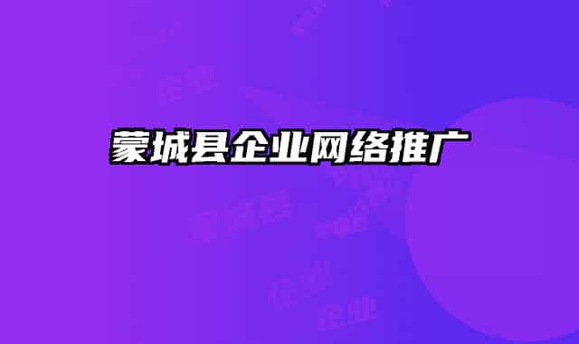蒙城縣企業(yè)網(wǎng)絡(luò)推廣
