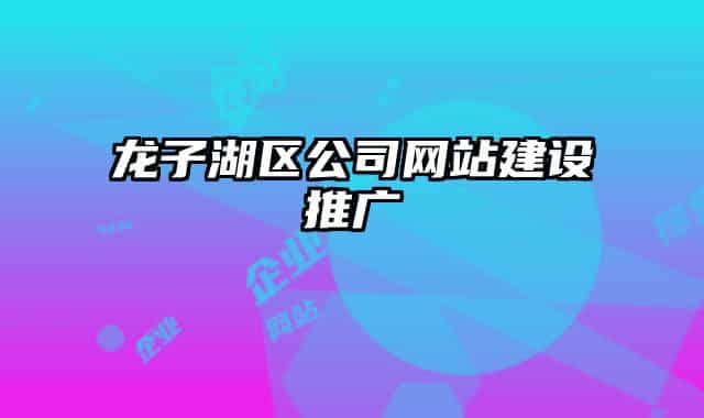 龍子湖區(qū)公司網站建設推廣