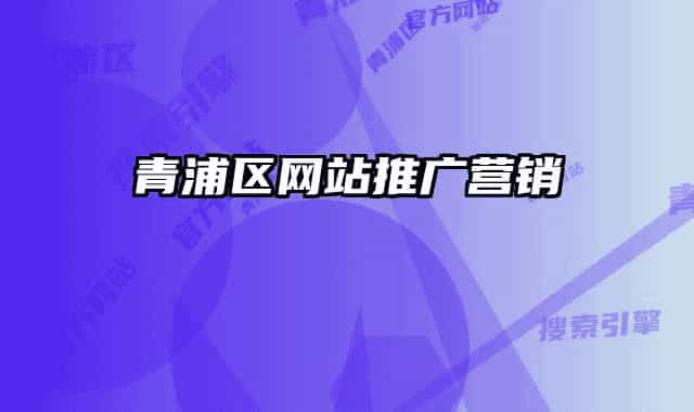 青浦區(qū)網(wǎng)站推廣營(yíng)銷