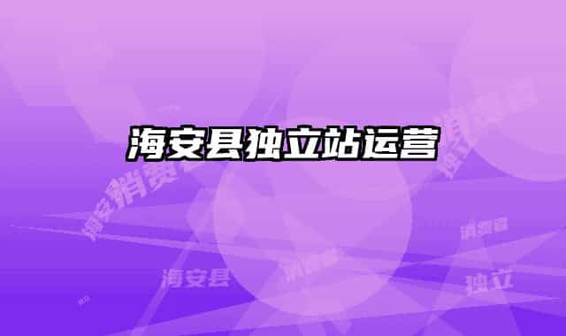 海安縣獨立站運(yùn)營