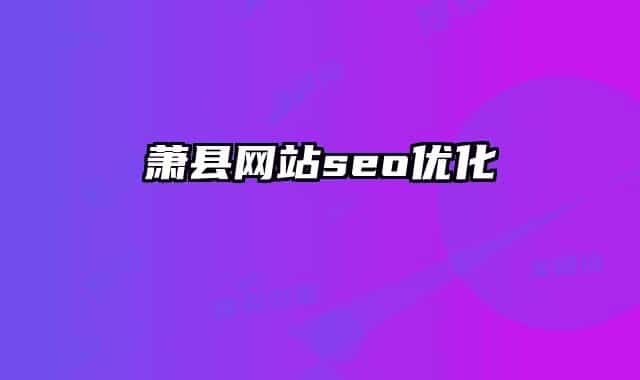 蕭縣網(wǎng)站seo優(yōu)化