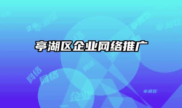 亭湖區(qū)企業(yè)網(wǎng)絡(luò)推廣