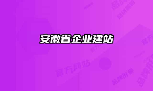 安徽省企業(yè)建站