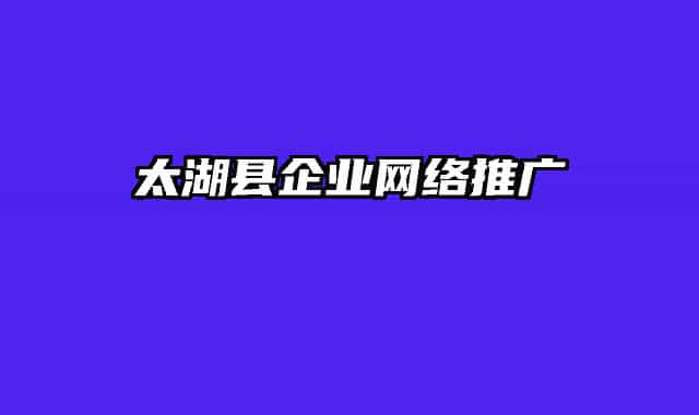 太湖縣企業(yè)網(wǎng)絡(luò)推廣