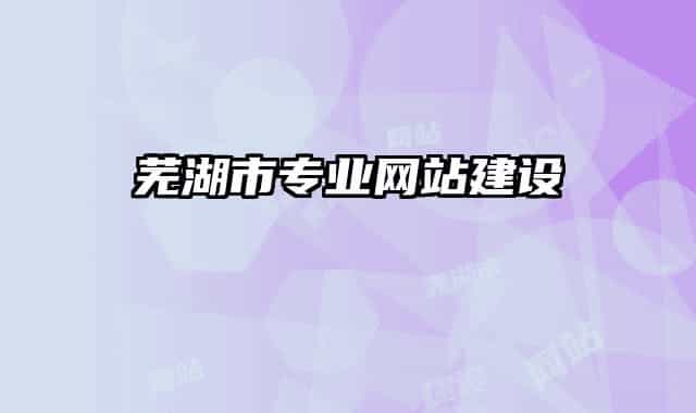 蕪湖市專業(yè)網(wǎng)站建設