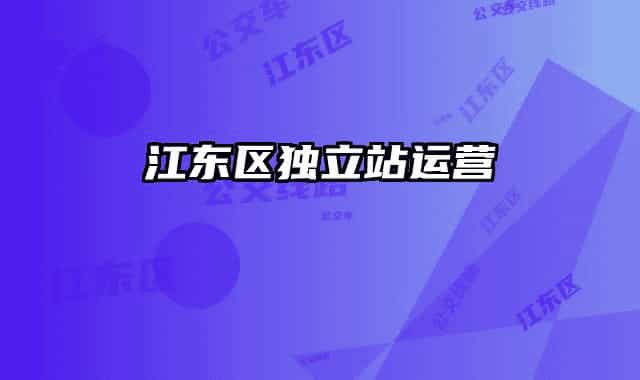 江東區(qū)獨立站運營