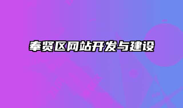 奉賢區(qū)網(wǎng)站開發(fā)與建設(shè)