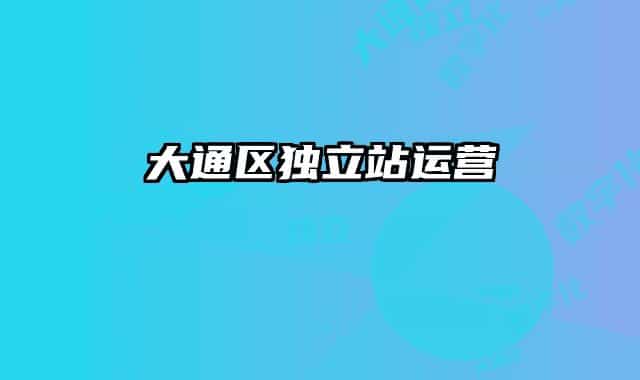 大通區(qū)獨(dú)立站運(yùn)營