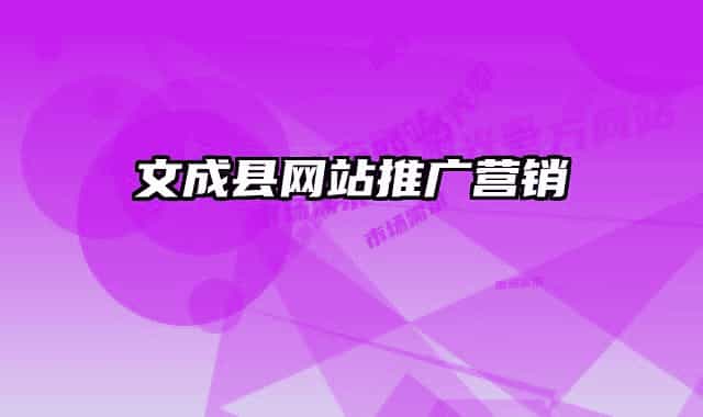 文成縣網(wǎng)站推廣營銷