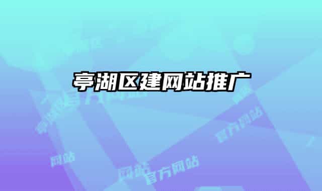 亭湖區(qū)建網(wǎng)站推廣