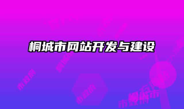 桐城市網(wǎng)站開發(fā)與建設(shè)
