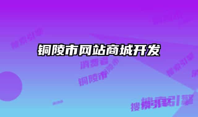 銅陵市網(wǎng)站商城開發(fā)