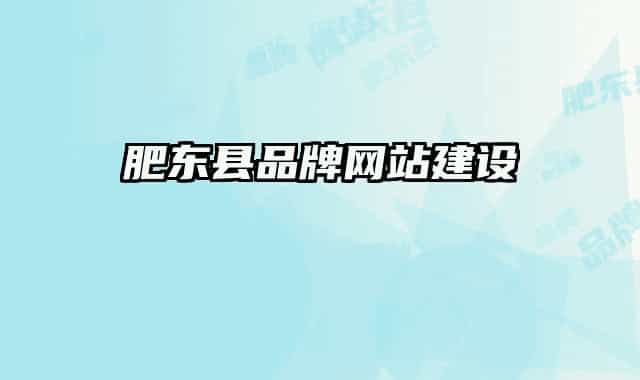 肥東縣品牌網(wǎng)站建設(shè)