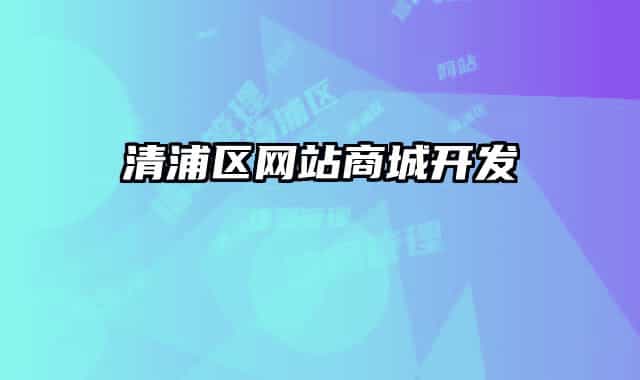 清浦區(qū)網(wǎng)站商城開發(fā)