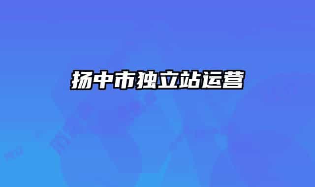 揚(yáng)中市獨(dú)立站運(yùn)營
